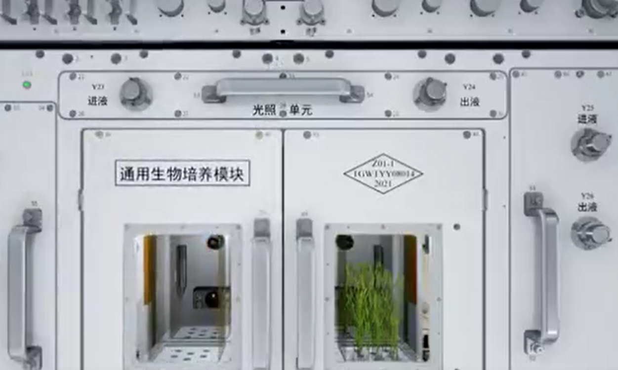 澳门最精准正最精准龙门，揭秘背后的秘密，澳门最精准正龙门背后的秘密揭秘