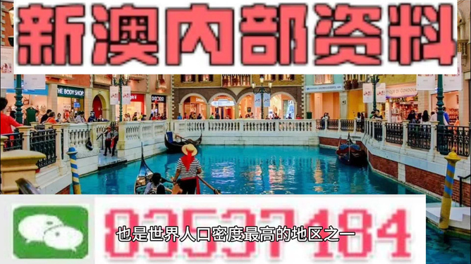 新澳门天天免费精准大全，澳门天天免费精准大全攻略