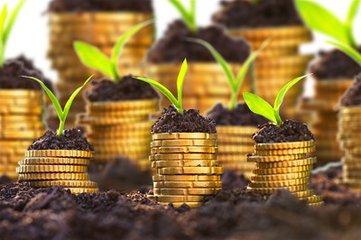 今天晚上三肖兔羊蛇决策资料解，今晚三肖兔羊蛇决策资料解析