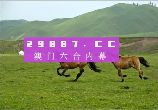 澳门天天彩期期精准龙门客栈，澳门天天彩期期精准龙门客栈，揭秘彩票秘密与中奖秘诀
