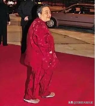 2004澳门天天开好彩大全，澳门彩票2004年天天开奖精彩回顾