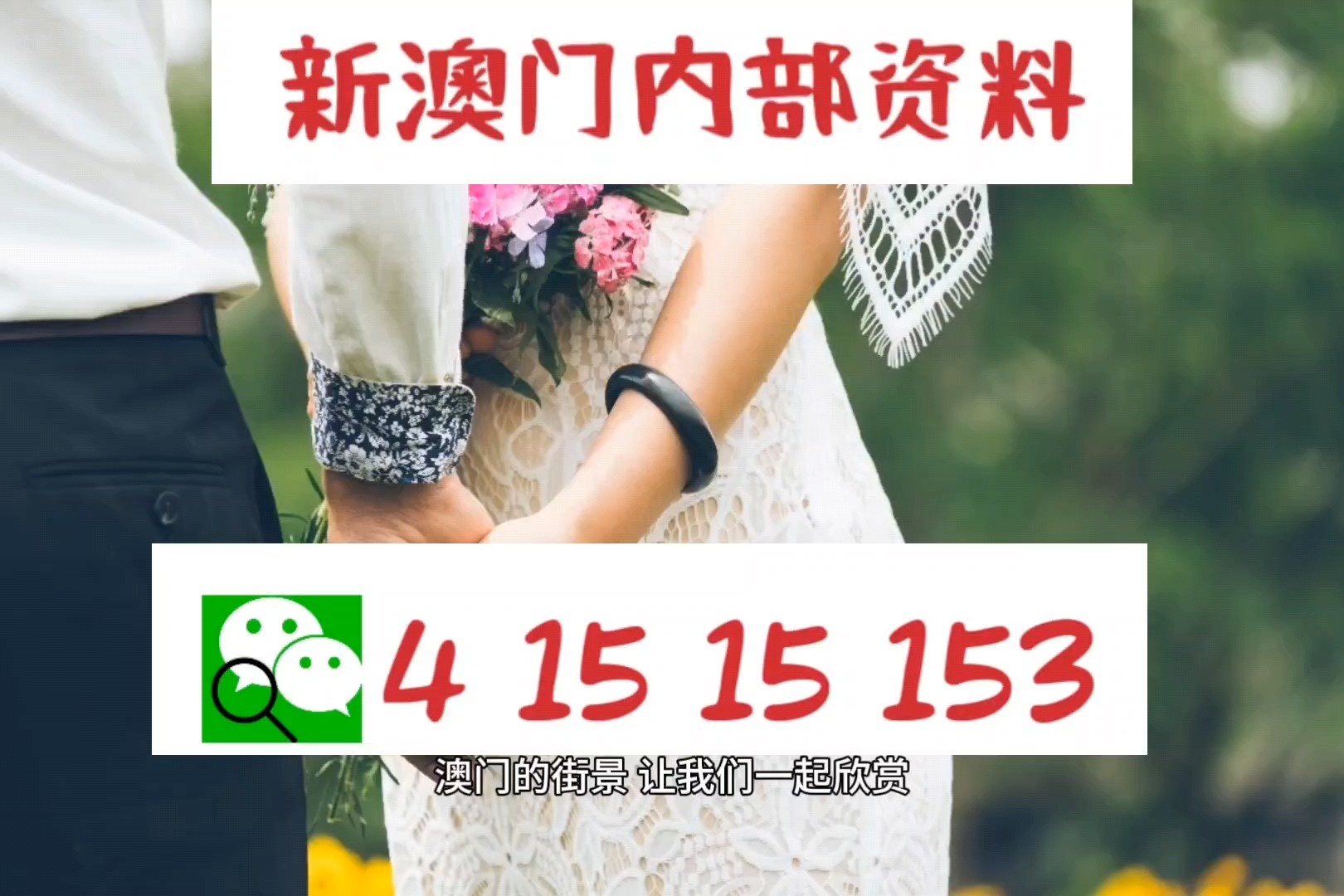 今晚澳门特马开的什么号码，澳门特马今晚开奖号码揭晓