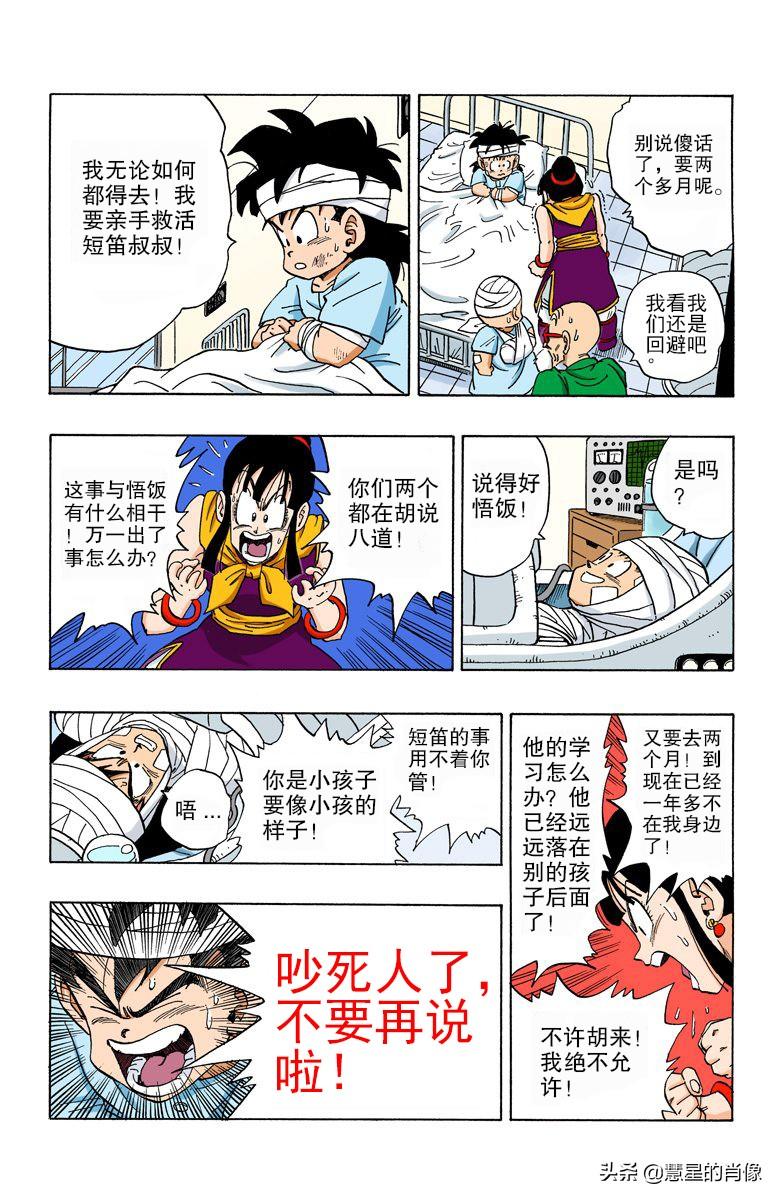 二四六天天彩资料大全网最新动态解析，二四六天天彩资料大全网最新动态解析概览