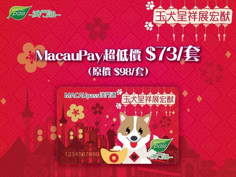 澳门正版资料大全资料生肖卡的魅力与探索，澳门正版资料大全揭秘生肖卡的魅力与探索之旅