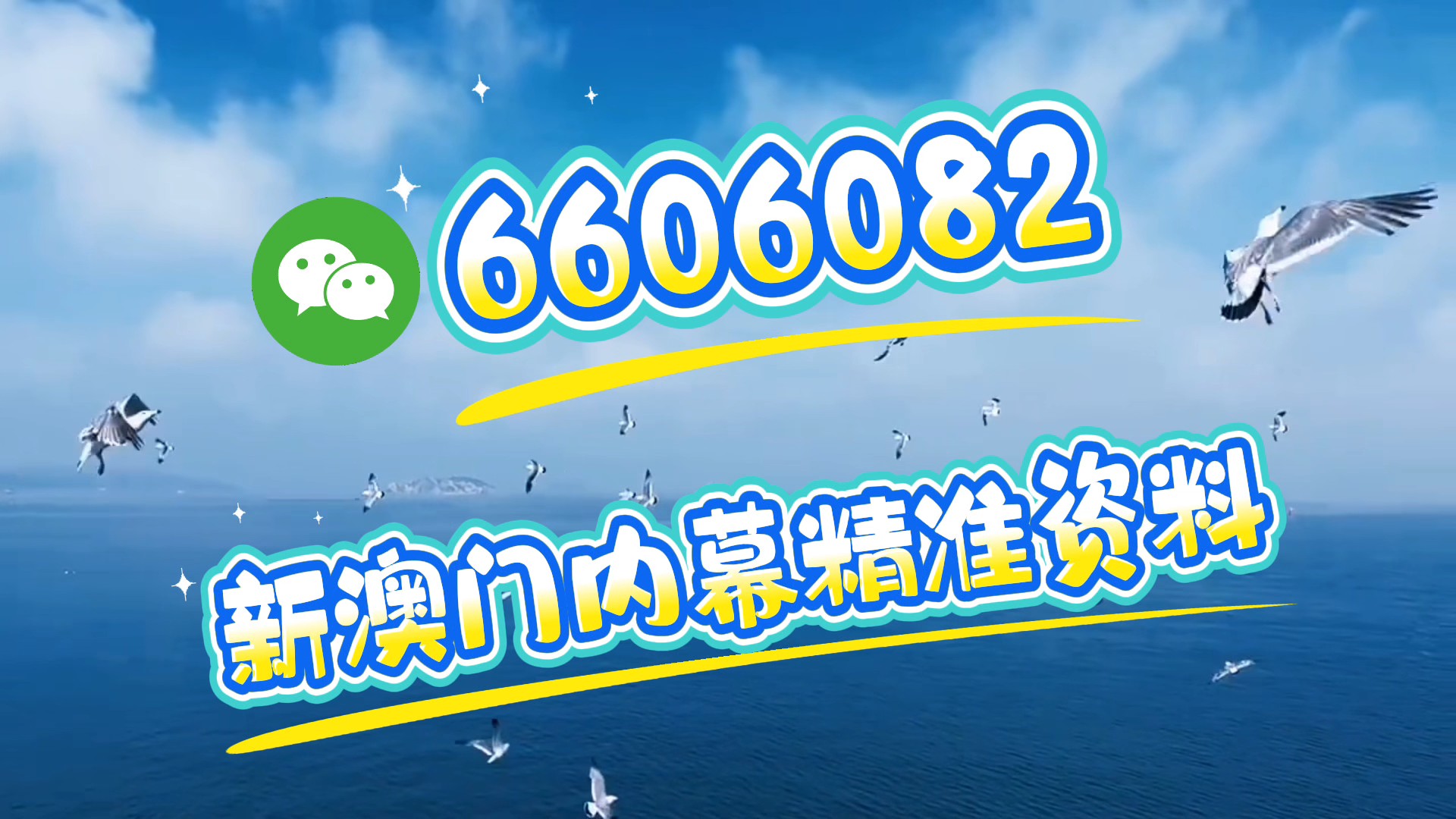 新澳门期期准精准，澳门期期精准预测