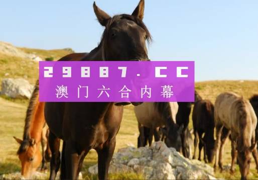 澳门管家婆一肖一码100精准，澳门精准管家婆一肖一码预测