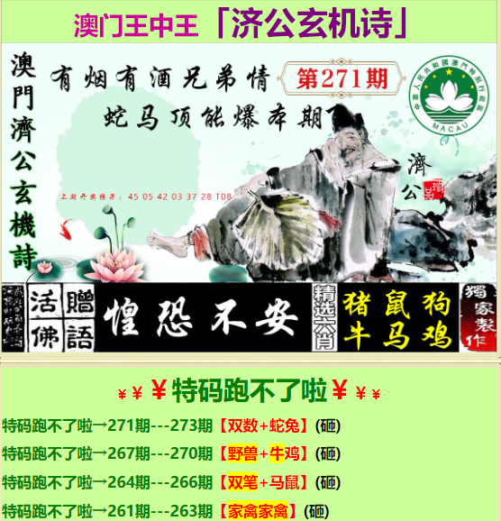 单双各10码王中王中特，单双各十码王中王特揭秘