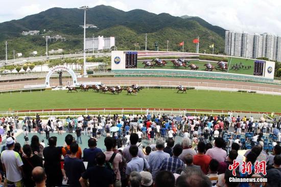 香港赛马免费公开资料大全，香港赛马免费公开资料全解析
