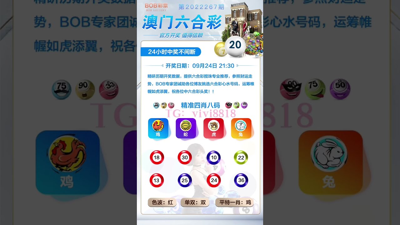 澳门大三巴一肖中特结果记录，澳门大三巴一肖中特结果记录揭秘