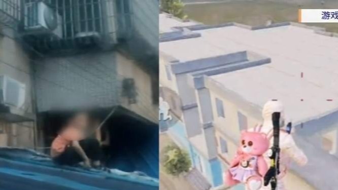 第1195页