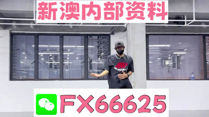 澳门管家婆，揭秘精准澳之秘，澳门管家婆揭秘精准澳门的秘密