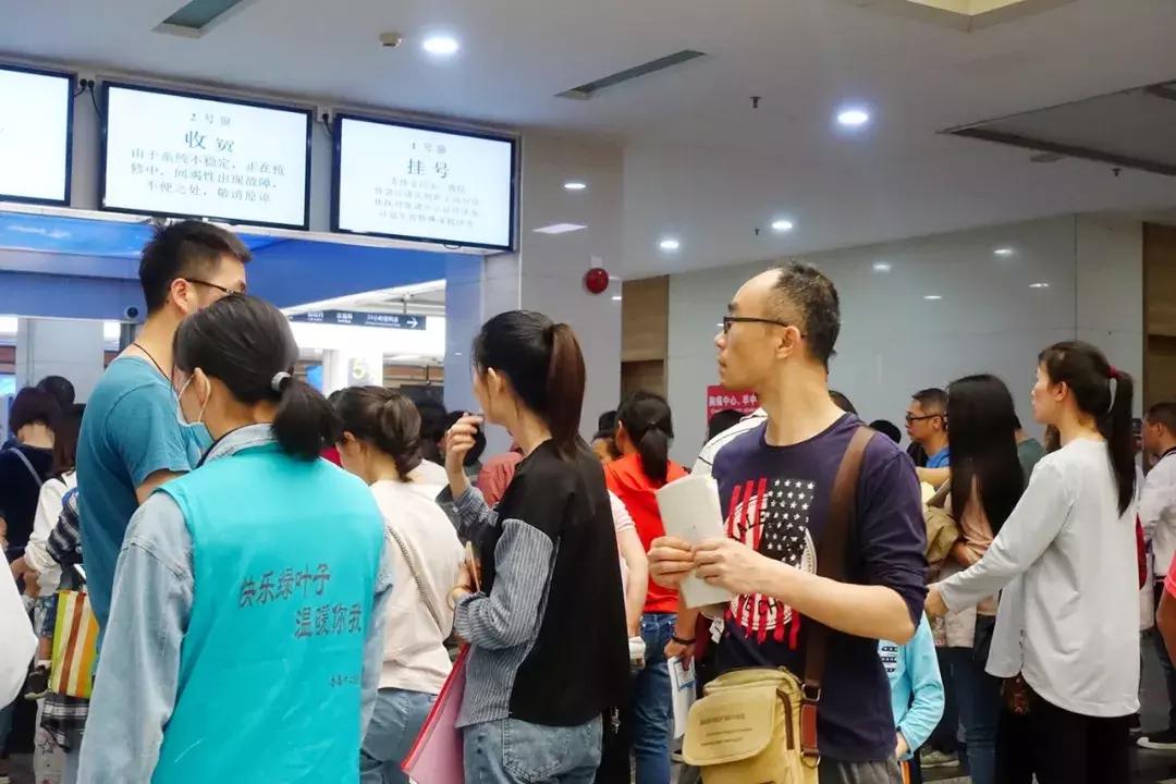 新门内部资料免费查询，新门内部资料免费查询指南
