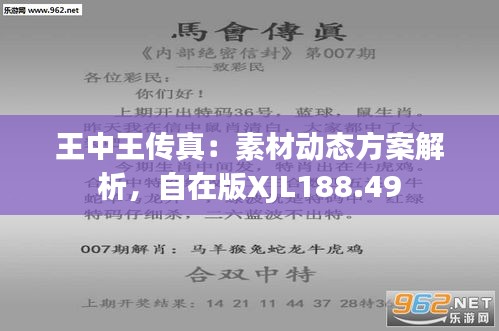 77777788888王中王，王中王，神秘数字组合揭秘