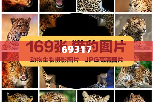 迈向2025，精准资料免费公开，共创知识共享新时代，迈向2025，共创知识共享新时代，精准资料免费公开大行动