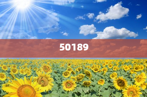 2025港彩开奖结果查询今天