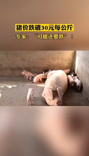 港澳新闻 第205页