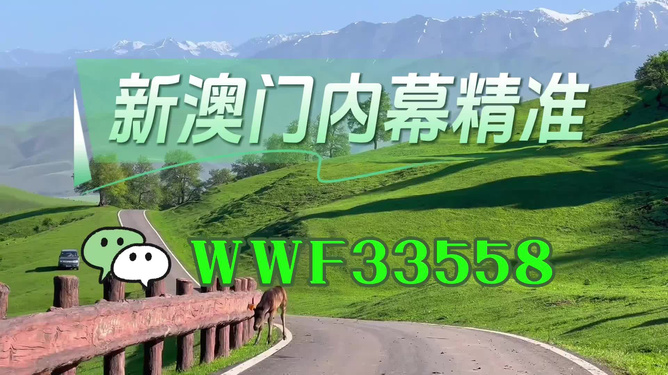 2025新澳门精准免费大全，澳门最新精准免费资料大全（2025版）