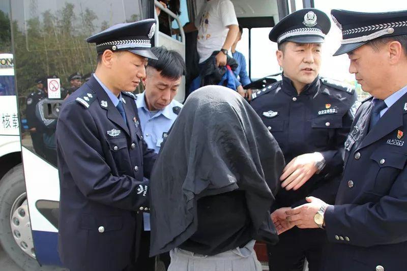 游戏专题 第186页
