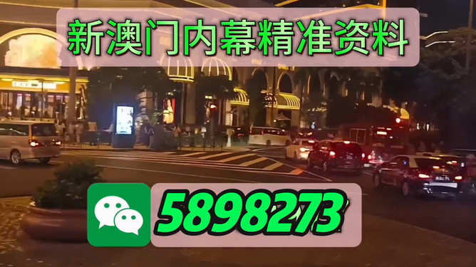 新澳门今晚必开一肖一特，探索与期待，澳门今晚神秘生肖揭秘，期待与探索之旅