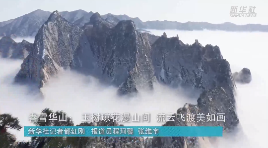 澳门最精准最准的龙门，揭秘背后的秘密，澳门最精准龙门揭秘，背后的秘密大揭秘