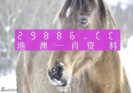 澳门一肖一码百分百精准预测分析，澳门一肖一码精准预测分析揭秘