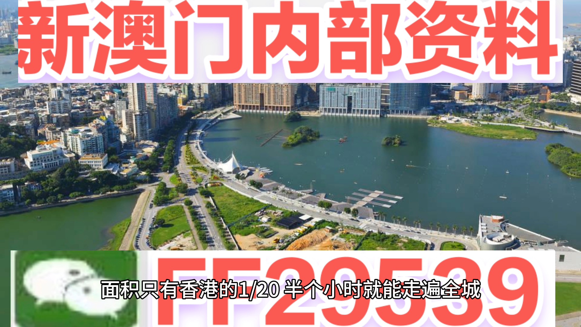 新澳门今晚开奖结果查询，澳门今晚开奖结果查询揭晓