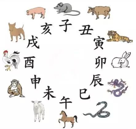 澳门天天彩期期精准十二生肖，揭秘彩票背后的秘密，揭秘彩票背后的秘密，澳门天天彩期期精准的十二生肖预测