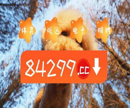 新澳门二四六天天彩，澳门天天彩二四六揭晓精彩瞬间