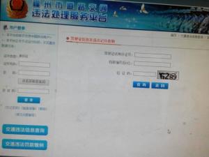 澳彩网站准确资料查询大全，澳彩网站资料查询大全，最新准确资料一网打尽