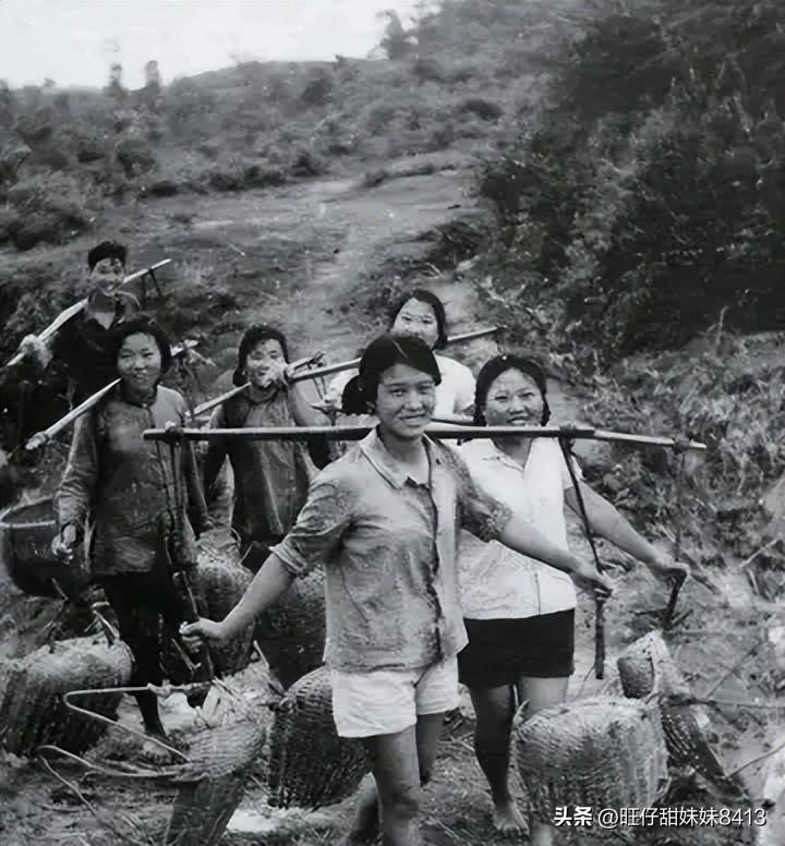 2025年49图库，2025年图库精选