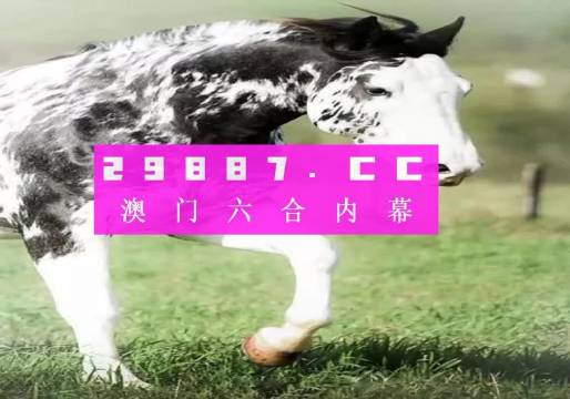 揭秘三肖一码，数字与命运的神秘交汇，揭秘三肖一码，数字与命运的神秘交汇点