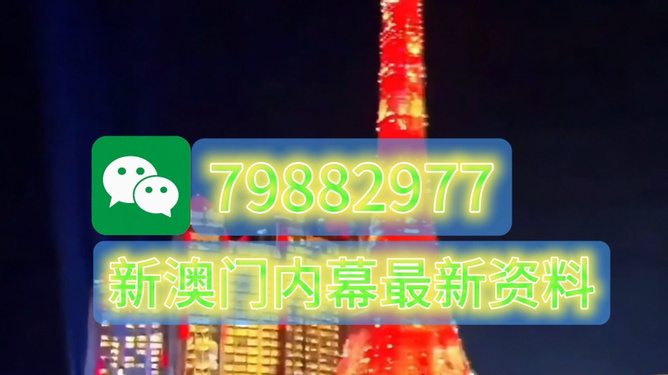 2025澳门特马今晚开奖，澳门特马今晚开奖结果揭晓（2025年）