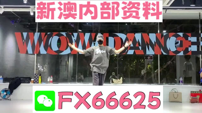 澳门管家婆一码一中资料100，澳门管家婆一码精准资料大全