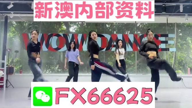 新澳精准资料免费提供，揭秘第4949期背后的秘密，揭秘第4949期背后秘密，新澳精准资料免费公开
