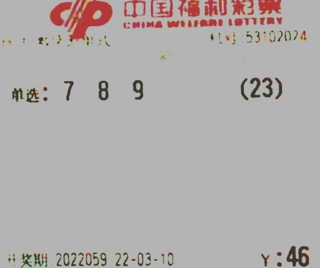 2025今晚开奖号码，2025今晚开奖号码预测与解析