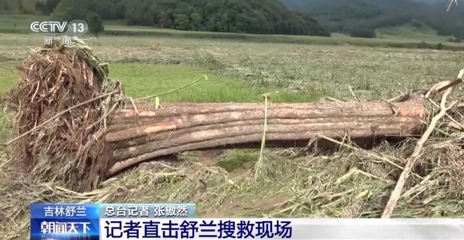 最新资讯 第178页