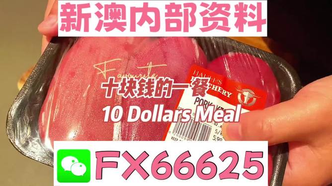 新澳精准资料免费提供，探索第265期的奥秘，新澳精准资料揭秘第265期奥秘，免费探索之旅