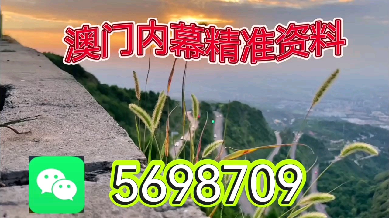 2025新澳天天正版资料大全—探索最新资讯的旅程，2025新澳天天正版资料大全，最新资讯探索之旅