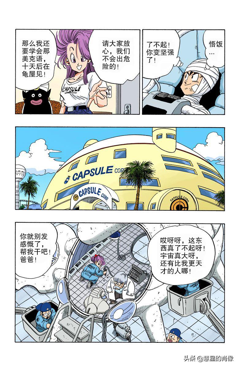 二四六天天彩资料大全网，二四六天天彩资料大全网，全面解析彩票资讯
