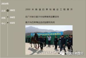 香港赛马会官方网站下载指南，香港赛马会官方网站下载指南，轻松获取赛马资讯与投注体验