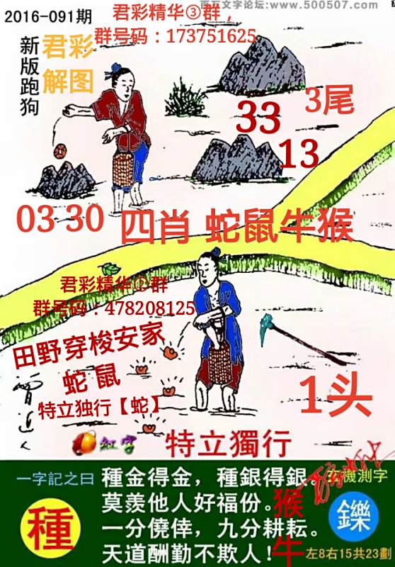 7777788888精准跑狗图，7777788888精准跑狗图大揭秘
