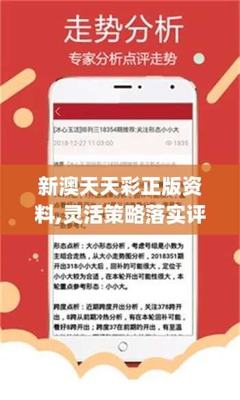 新澳天天开奖资料单双解析，新澳天天开奖资料单双解析与预测技巧