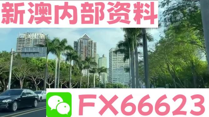 揭秘，2025新澳精准资料免费提供的网站，揭秘，免费获取2025新澳精准资料的网站揭秘