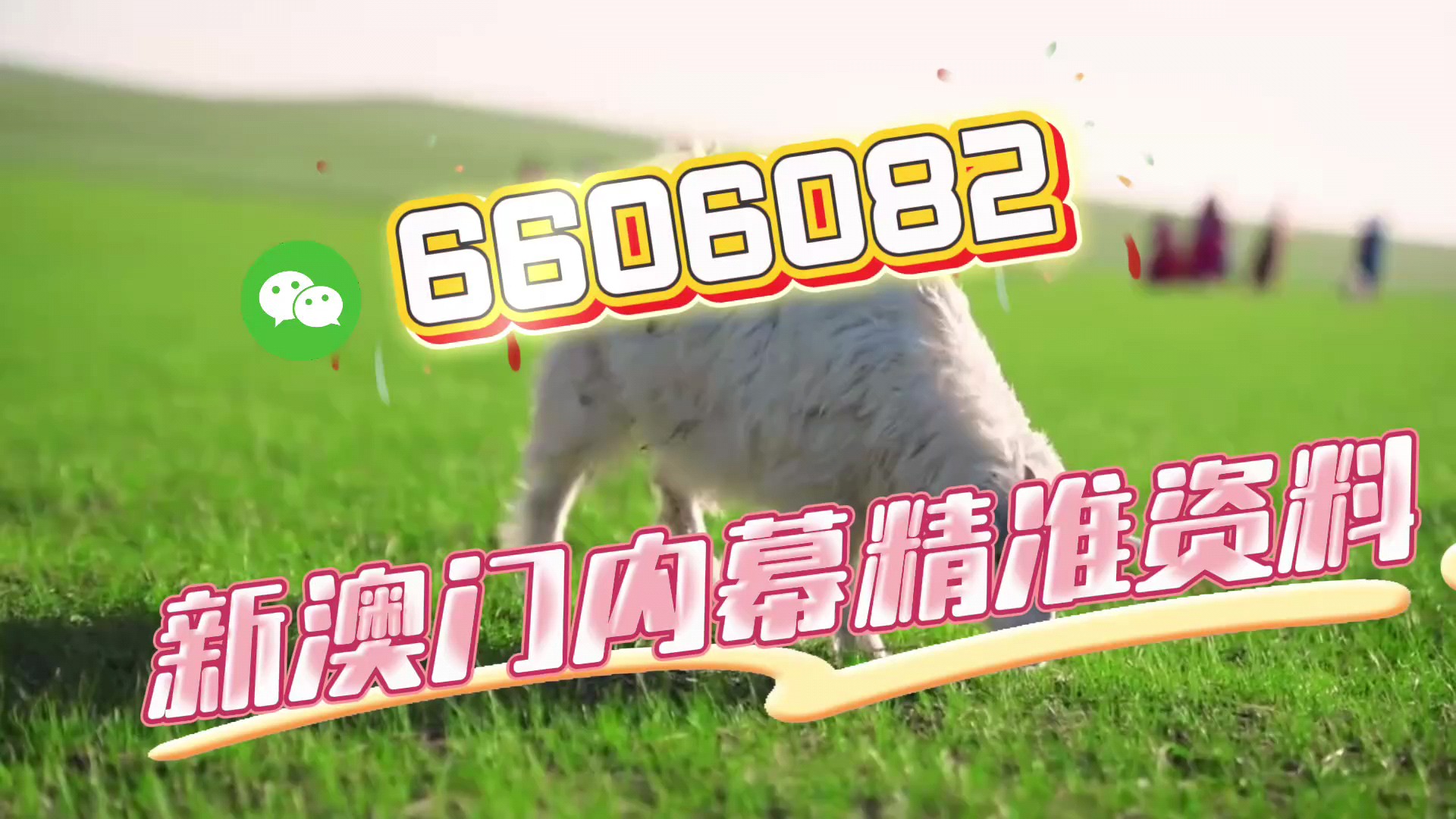 最准一肖一码一一中一特，最准一肖一码精准中特