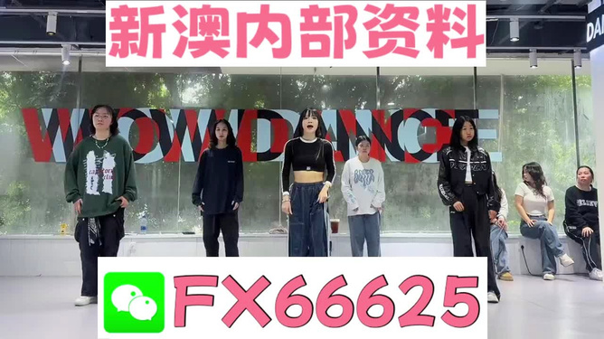 管家婆一票一码资料，管家婆一票一码资料大全