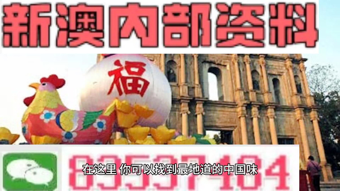 管家婆料的探索之旅