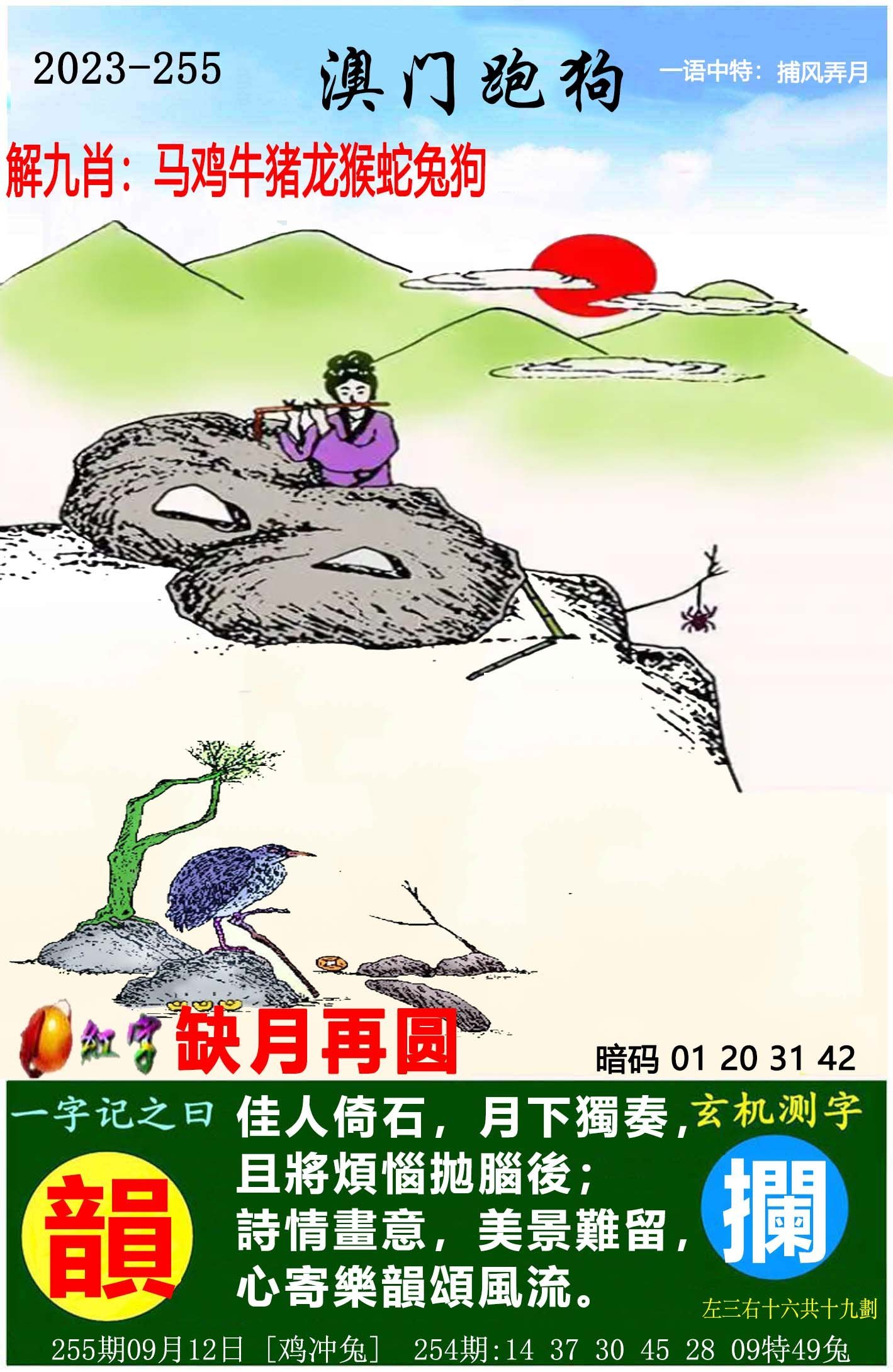 2025澳门天天开好彩大全—最新资讯与下载指南，澳门最新资讯与下载指南，2025天天好彩大全