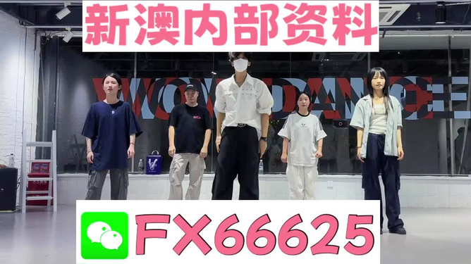 新澳天天开奖资料，新澳天天开奖资料详解