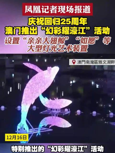 濠江论坛澳门资料2025，澳门濠江论坛资料揭秘，展望2025年澳门发展展望