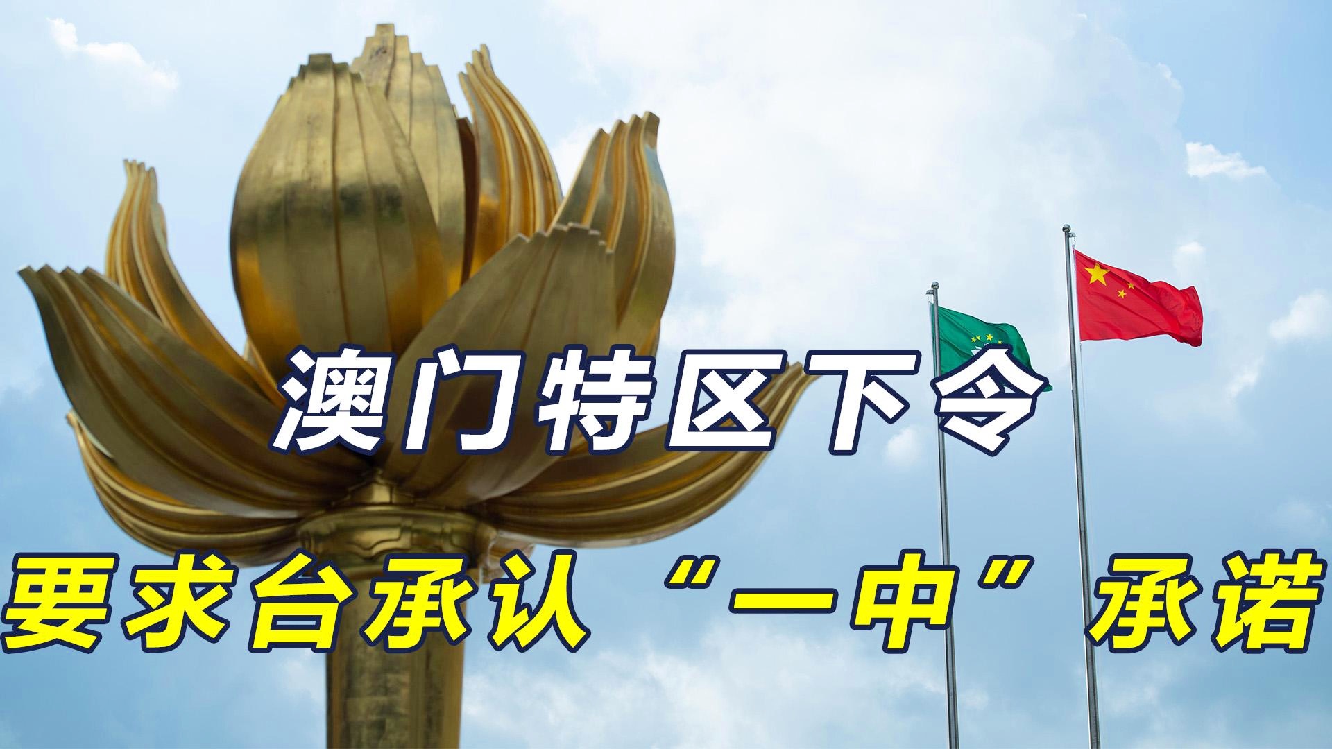 澳门一码一肖一特一中直播结果大揭秘，澳门直播结果揭秘，一码一肖一特一中大解密